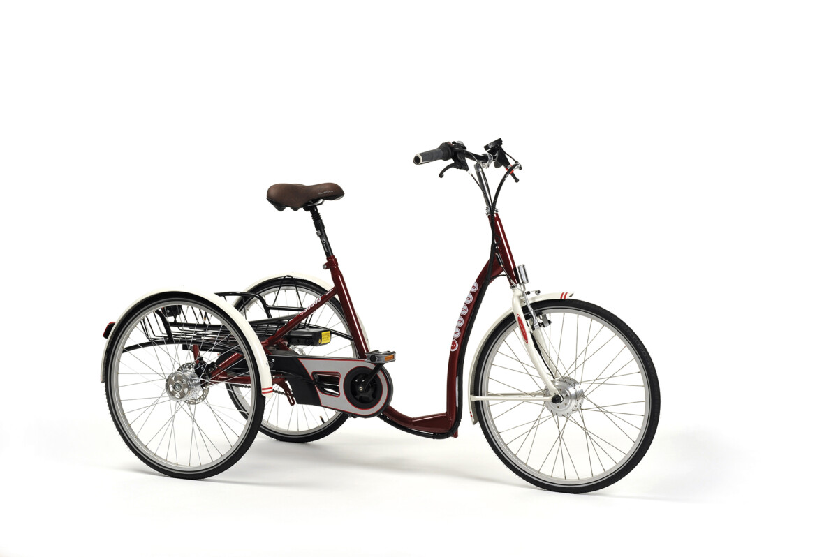 E-bike - 2219 Lagoon bordeaux E-bike - 2219 Lagoon bordeaux